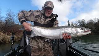 SOLO Trip  Big Steelhead [upl. by Erminie996]