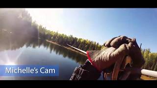 Talkeetna Alaska Denali Zipline Tours 2018 [upl. by Keen]