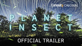 Planet Insect  Trailer [upl. by Leor]