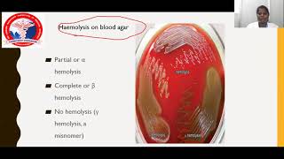 Laboratory Diagnosis of Bacterial Infections  Dr Pradha [upl. by Suhsoj]