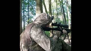 Squirrel Hunt With the Umarex Notos and Commander NV400 squirrelhunter squirrelhunting [upl. by Nnylf]