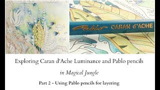 Exploring Caran dAche Luminance and Pablo pencils  part 2  Pablo pencils for layering [upl. by Vaden798]