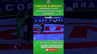 NINGUÉM ACREDITAVA MAS O PALMEIRAS VENCEU O GRÊMIO [upl. by Nnylesor]