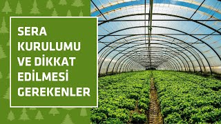 Sera Kurulumu ve Dikkat Edilmesi Gerekenler [upl. by Allis]