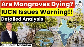 Mangroves Declared As Critically Endangered By IUCN  Geography in News  UPSC  StudyIQ IAS [upl. by Vivica401]