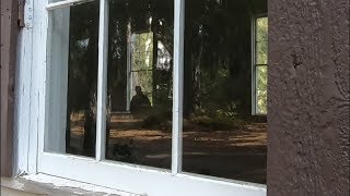 Strange figure in building scared us to death at Malakoff Diggins ghost town [upl. by Gentes]