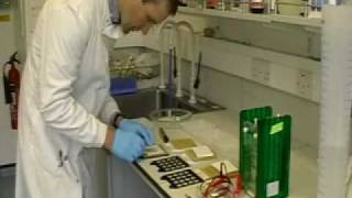 MSc in Molecular Exercise Physiology Western blot [upl. by Niwroc89]