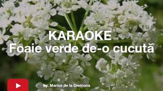 Foaie verde deo cucută LAm  KARAOKE [upl. by Nmutua835]