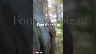 Fontainebleau hits different… [upl. by Emmy]