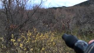 How To Use The Primos Hoochie Mama Elk Call Video 2 [upl. by Peterson]