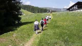 Wandern in Zell am See Salzburger Land Österreich Herrliche Sommerwanderung auf der Schmittenhöhe [upl. by Nnoved]