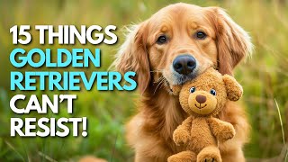 15 Surprising Things Every Golden Retriever Is CRAZY About [upl. by Dranreb922]