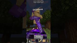 Minecraft new tiktok hack 😲minecraft [upl. by Namara380]