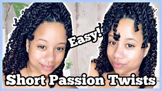 Short Passion Twists Tutorial  2 Methods [upl. by Starobin276]