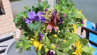 Cerinthe Major HoneywortShrimp Plant Growing Guide From Seed To Harvest amp Vase Life Tips  Ep 101 [upl. by Anzovin]