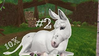 SSO DONKEYS  WSZYSTKIE 10 OSIOŁKÓW  CZ2  PORADNIK 4  Anidacja ♥ [upl. by Atinreb420]