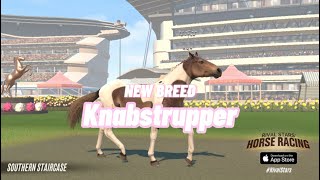 KNABSTRUPPER IN RIVAL STARS New Breed  Crossbreeding Fail [upl. by Carolus363]