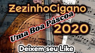 Nova musica cigana 2020 ZezinhoCigano [upl. by Eibot]