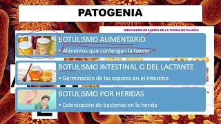 APRENDE sobre BOTULISMO Patogenia signos síntomas y vacuna [upl. by Ym322]