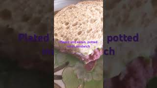 Plated and eaten potted meat sandwich 🥪 chrisleon9769 budgetmeal ghetto poorpeople hungry [upl. by Nob]