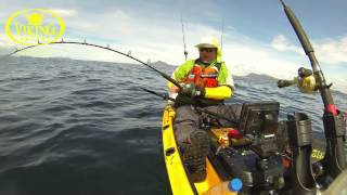 Viking kayaks  Northland Mid water snapper with Stephen Tapp [upl. by Lenny856]