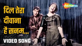 Dil Tera Deewana Hai  Kumar Sanu Hit songs  Sunil Shetty  Shilpa Shirodkar  Raghuveer [upl. by Faxan]