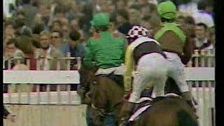 1981 St Leger Cut Above Defeats Shergar Includes Pre Race amp Enclosure [upl. by Dolph]