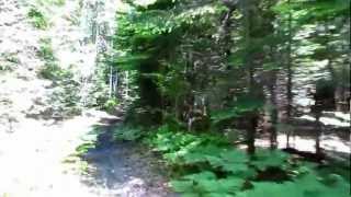 Major Kollock Bike Trail  Kouchibouguac [upl. by Bickart]