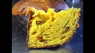 Panettone agrumi ricetta Maestro Alfonso Pepe  Primo impasto lievito madre [upl. by Gerty]