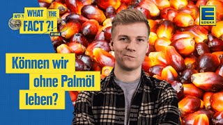 Palmölverbrauch  Welche Auswirkungen hat Palmöl auf die Umwelt [upl. by Bloomer]