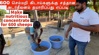 மாதம் 4 கிலோ எடை கூடும் தீவனம் தயாரிப்பது எப்படி  Concentrate feed for sheep and goats [upl. by Tedder458]