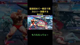 配信初めて一戦目で高カロリー消費するBLEYZ スト6 モダンテリー ゲーム実況 [upl. by Drofub213]