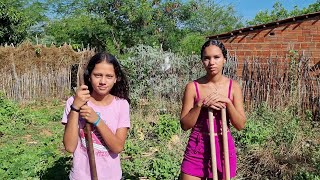 PLANTANDO AS FRUTEIRAS COM ISABELA sertanejo [upl. by Ayerf]