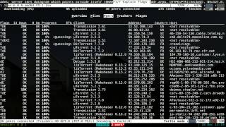 Transmission Remote CLI  Ncurses Interface  Linux TUI [upl. by Llevron]