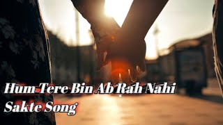 Hum Tere Bin Ab Reh Nahi Sakte Lyrics Song  Arijit Singh  हम तेरे बिन अब रह नहीं सकते Song [upl. by Yadahs]