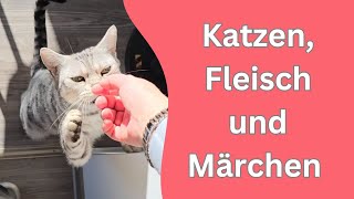 Welches Fleisch sollten Katzen nicht bekommen [upl. by Nattie537]