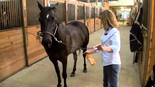 Absorbine Veterinary Liniment  Treat Lameness In Horses [upl. by Names]