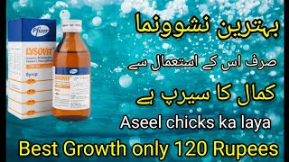 Lysovit syrup for hens  Lysovit syrup for chicks Best multivitamins for hens calcium in aseel [upl. by Notsgnik]