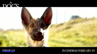 A DOGS PURPOSE  In Cinemas February 23 across the Middle East [upl. by Elwee]