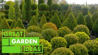 World of Topiary  GARDEN  Great Home Ideas [upl. by Gunther467]