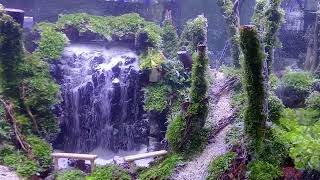 aquascape waterfall 70cm [upl. by Aytnahs]