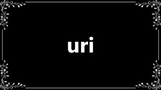 Uri  Definition and How To Pronounce [upl. by Alie994]