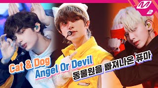 TXT 투모로우바이투게더  Cat amp Dog  Angel Or Devil  동물원을 빠져나온 퓨마  TOMORROW X TOGETHER COMEBACKSHOW [upl. by Fuller]