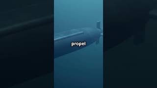 The Worlds Largest Nuclear Submarine  The Dmitry Donskoy shorts funfacts trivia [upl. by Cassey]