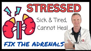 ADRENAL TREATMENT TO HELP THE BODY HEAL FASTER 144  httpsdrstephenstokescom [upl. by Violante]