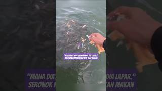 SERONOK NOORKHIRIAH DAPAT BERI IKAN MAKAN [upl. by Nnylarak]