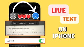 How to Use Live Text on iPhone [upl. by Elleynad328]