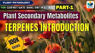 What are MetabolitesPrimary amp Secondary metabolitesBiomolecules [upl. by Fendig]