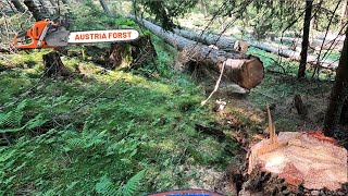 Holzfällen für Seilbahn [upl. by Assereht]