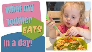 What My Toddler eats in a day  Toddler Meal Ideas [upl. by Ribble422]